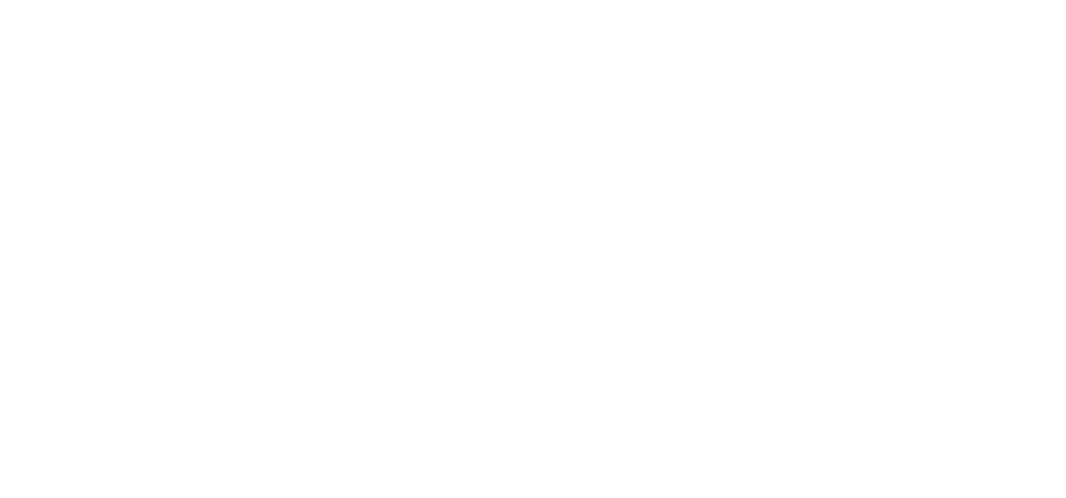 Solio 